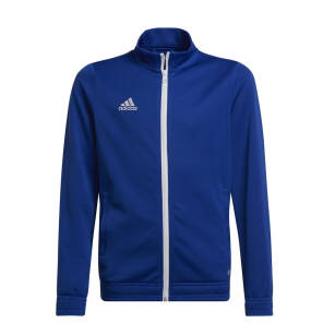 adidas Kotwica Męska bluza niebieska 2