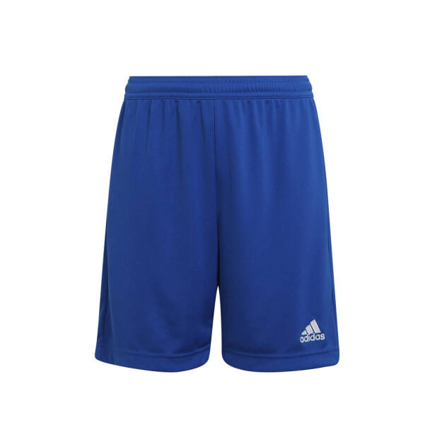 adidas MKP Kotwica Kołobrzeg Junior spodenki - niebieskie