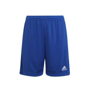 adidas Kotwica Junior spodenki niebieskie