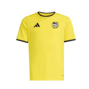 adidas Bajkowa Akademia koszulka męska z imieniem