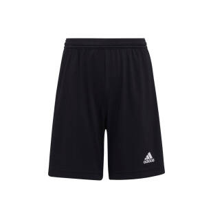 adidas Tęcza Brzezia Łąka Junior spodenki